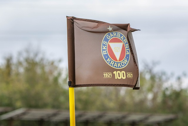 的职业生涯 的职业生涯