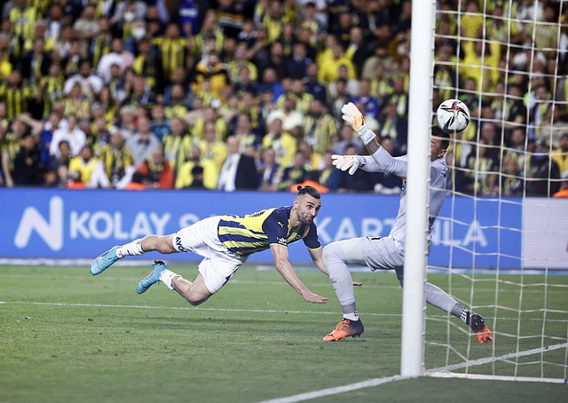 从引进球星 从引进球星