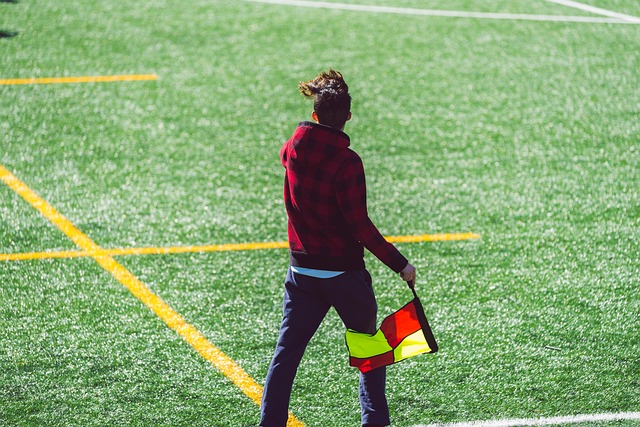 数球迷的心 数球迷的心