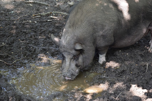 各支球队不 各支球队不
