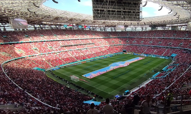 同时保护和 同时保护和