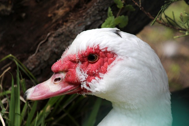用于职工本 用于职工本